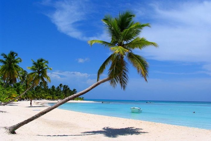 Isla Saona El Paraiso del Caribe - Photo 1 of 7